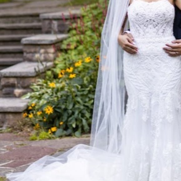 Martina Liana Designer Wedding Dress - With Added Custom Straps! - Picture 4 of 9